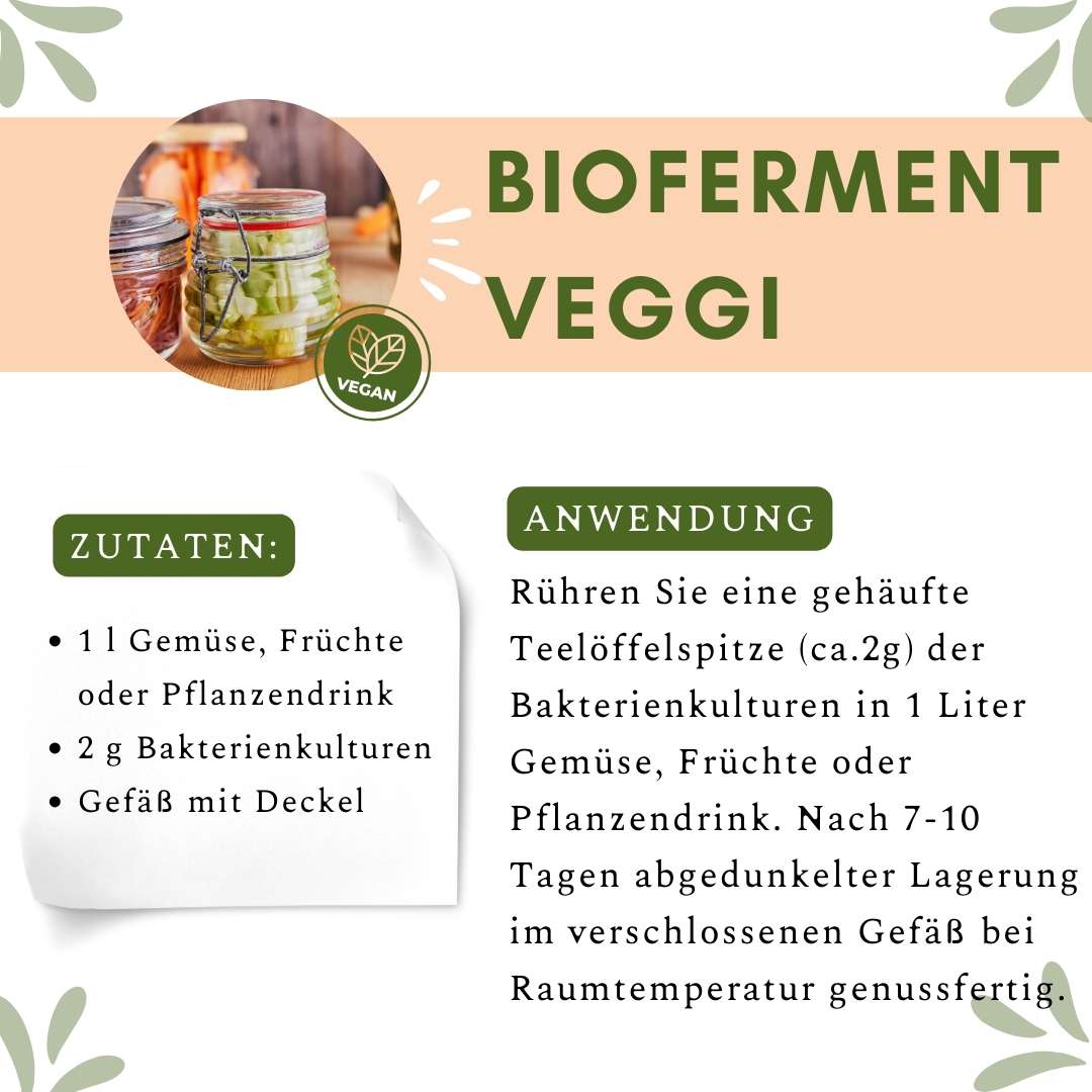Aktive Bakterienkulturen VEGGI Bioferment Anleitung
