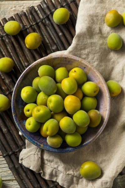 Ume-Früchte