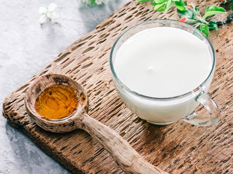 aktive Bakterienkulturen für vegane Sauermilch