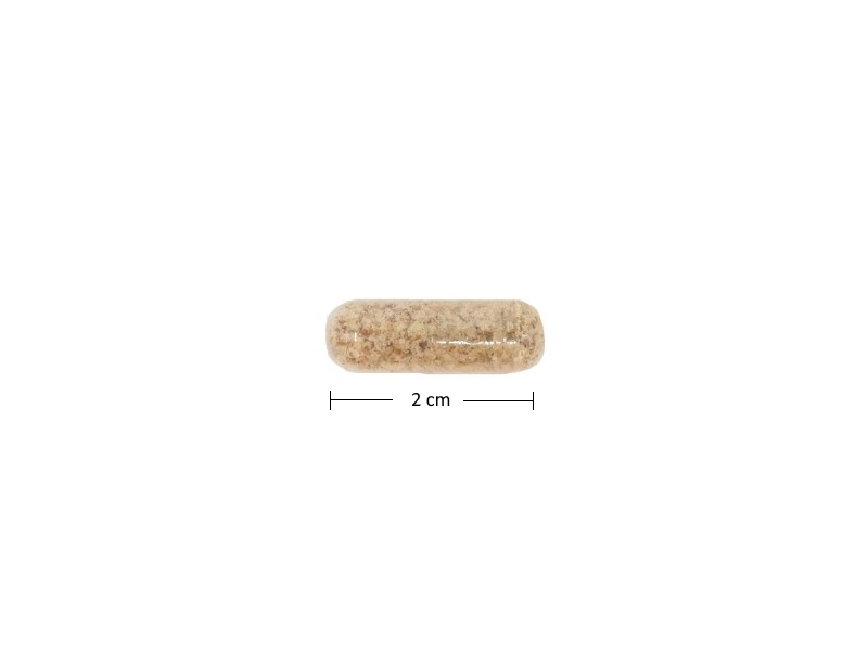 mariendistelsamen-kapseln-einzeln-2cm Mariendistelsamen - 120 vegane Kapseln á 340 mg Mariendistelsamenmehl, Leberkraft