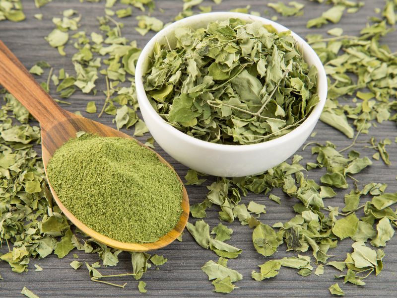getrocknete-moringa-blaetter-fuer-bio-moringa-presslinge