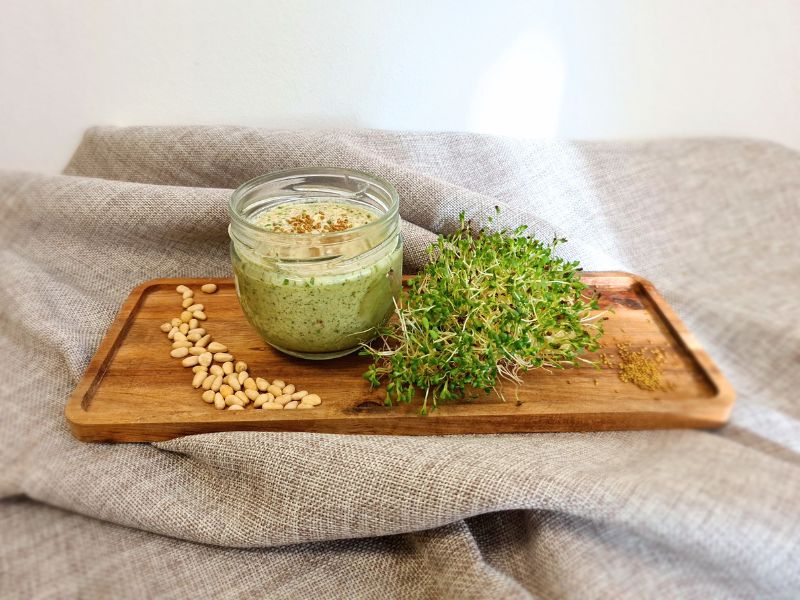pesto-aus-alfalfasprossen-und-zedernnuessen Pesto aus Alfalfasprossen und Zedernnüssen